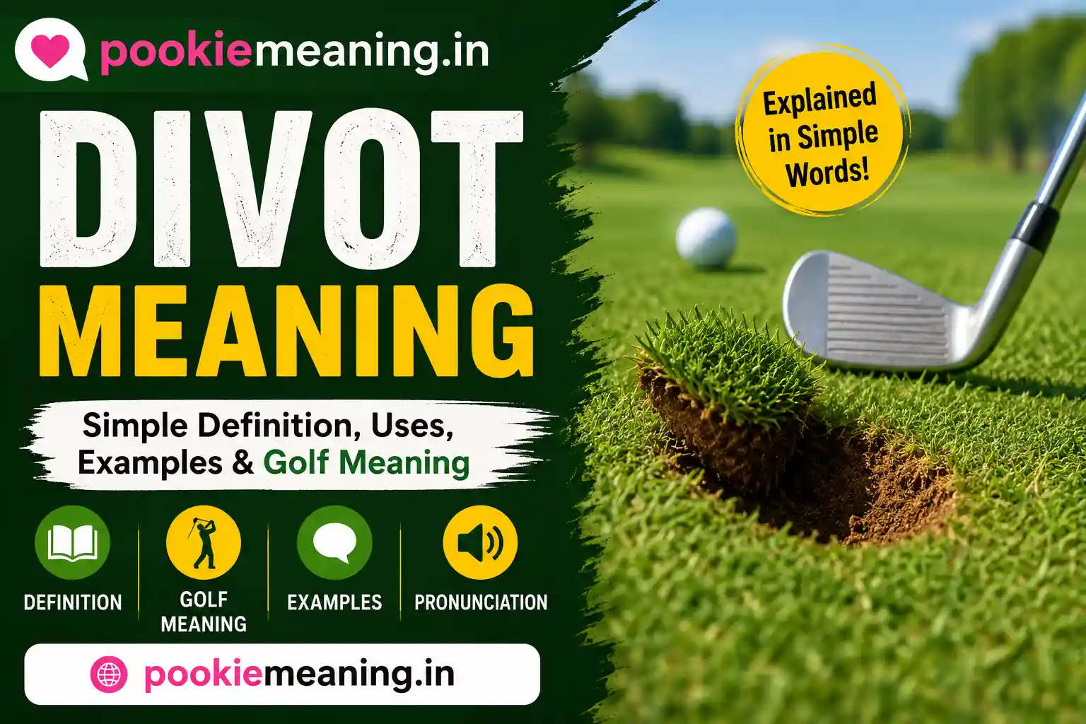 Divot meaning