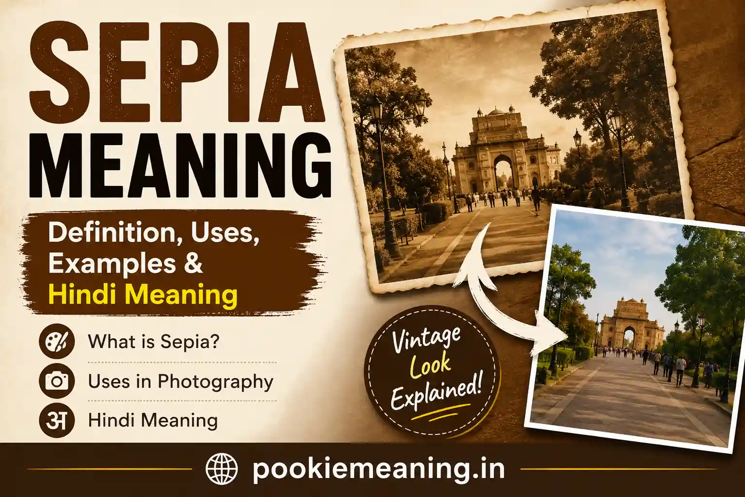 Sepia meaning